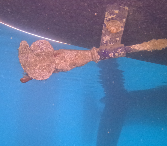 rudder